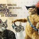 ���� ���������, ������, 44 ���� - ��������� 10 ������� 2015 � ������ ��������������