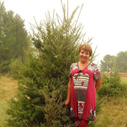 �������, ���������, 76 ���