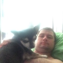 ���� �������, ������, 42 ���� - ��������� 19 ������� 2015