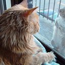 ���� �����, ������ - ��������� 9 ������� 2016 � ������ ������ ��������