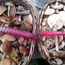 ���� ����, ������, 64 ���� - ��������� 18 ������� 2015 � ������ ���� ����������