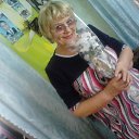 ���� �������, ��������, 68 ��� - ��������� 8 ����� 2016 � ������ ���� ����������