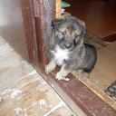 ���� ������, �������� - ��������� 15 ������ 2015 � ������ ������ ��������