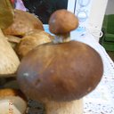 ���� �����, �������, 55 ��� - ��������� 5 ������ 2015 � ������ ���� ����������