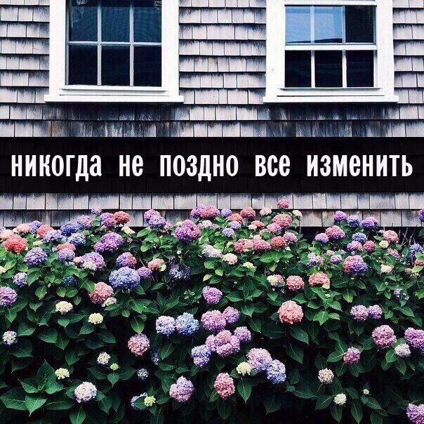  | ,  - 11  2015  22:26