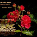 ���� �������!, ����� - ��������� 5 ������� 2016 � ������ ������ ��������