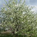 ���� �������, ���������� - ��������� 30 ������ 2016 � ������ ������ ��������