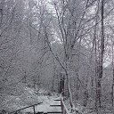 ���� ������, ������, 52 ���� - ��������� 24 ������ 2015