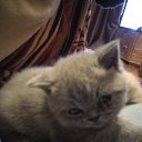 ���� ������, �����-���������, 70 ��� - ��������� 4 ������ 2015 � ������ ����� �����