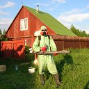 ���� �����, �����-���������, 63 ���� - ��������� 6 ������ 2015 � ������ ���� ����������