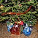 ���� �����, ������, 48 ��� - ��������� 4 ������� 2015