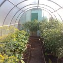 ���� ������, ����������, 81 ��� - ��������� 26 ������� 2015 � ������ ������ ��������