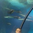 ���� �������, ������, 51 ��� - ��������� 20 ������ 2015 � ������ ����������� 11.11.15�