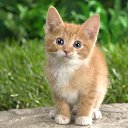 ���� ���������, ��������, 58 ��� - ��������� 8 ������ 2016 � ������ ���������