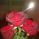 ���� ������, �������� - ��������� 24 ������� 2015 � ������ ������ ��������