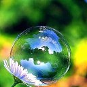 ���� �������, �������, 42 ���� - ��������� 11 ������� 2015 � ������ ������ ��������