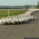 ���� �������, ��������, 38 ��� - ��������� 4 ������� 2015 � ������ ������ ��������