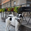 ���� Andrejs, ����������, 63 ���� - ��������� 24 ������� 2015 � ������ ���� ����������