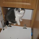 ���� ������. �� �����., ���� - ��������� 5 ������ 2016 � ������ ������ ��������