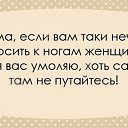 ���� �����, ������ - ��������� 9 ������� 2015 � ������ ������ ��������