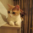 ���� �����, ������������, 75 ��� - ��������� 14 ������ 2016