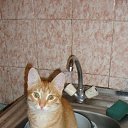 ���� ���������, ������������, 67 ��� - ��������� 27 ������� 2015 � ������ ���� ����������