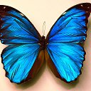 ���� ����, ������, 25 ��� - ��������� 29 ������� 2015 � ������ ������ ��������