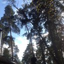 ���� ���������, ���������, 34 ���� - ��������� 5 ������� 2015 � ������ ������ ��������