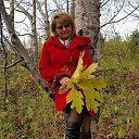 ���� ����� 2015 �� ������� ���� ����������