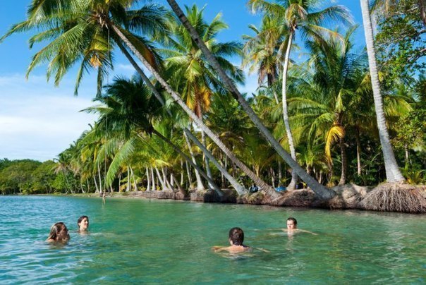 ��������� �����-����-����, ������ - 3