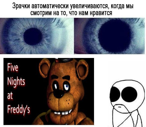 Five Nights at Freddy's - 5  2016  20:36