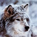 ���� ������, ��������, 32 ���� - ��������� 29 ������ 2016