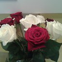 ���� �����, ������������, 53 ���� - ��������� 13 ������� 2015 � ������ ���� ����������