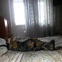 ���� ���������, ������, 52 ���� - ��������� 18 ������� 2016 � ������ ���� ����������