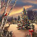 ���� ��������, ������, 51 ��� - ��������� 15 ������ 2016 � ������ ������ ��������