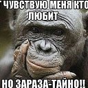 ���� ������, ���������, 60 ��� - ��������� 9 ������� 2016 � ������ ���� ����������