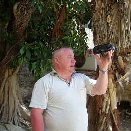 ���� ������, ������, 61 ��� - ��������� 5 ������ 2016