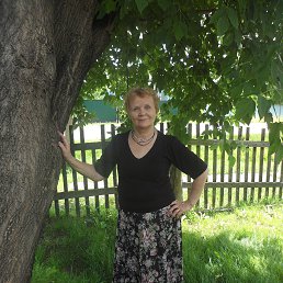 �������, ���������, 69 ���