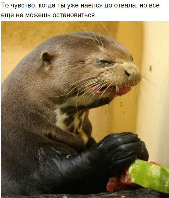  , ..