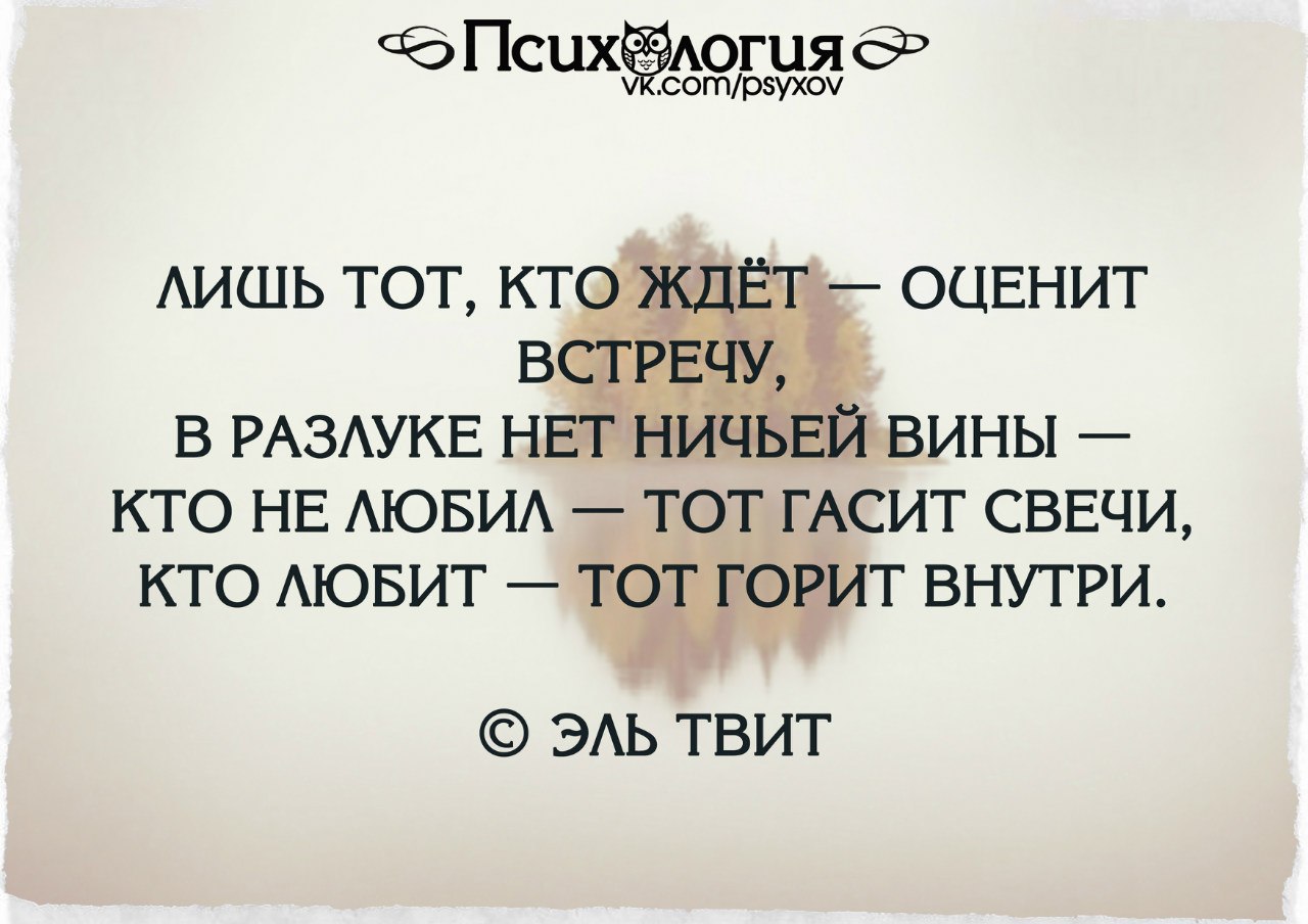 Человек может всё. Человеку мало надо стихотворение рождественский. Эль твит цитаты. Человек все может лишь бы захотел. Ей лишь бы кого.