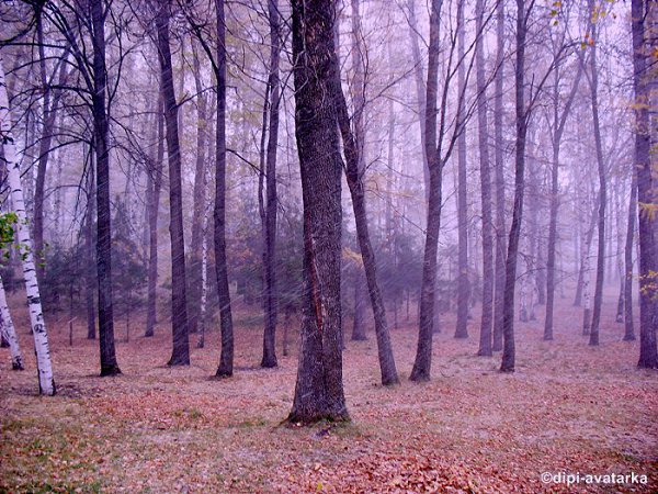 dipi-avatarka - 17  2016  11:15