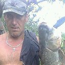 ���� �����, �������, 59 ��� - ��������� 31 ������� 2015 � ������ ���� ����������