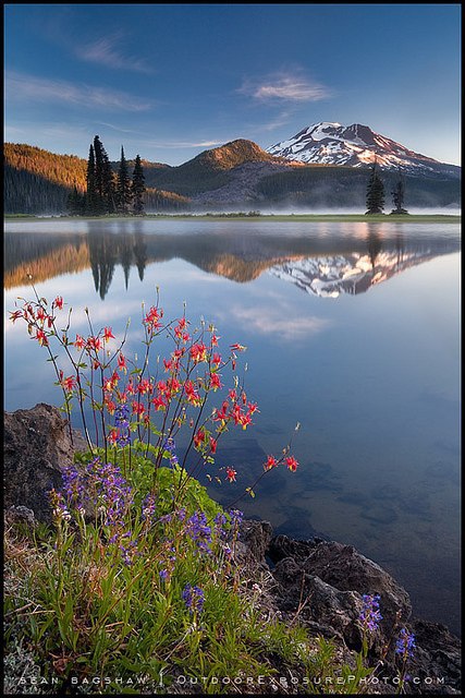  Sean Bagshaw.