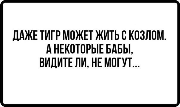 Вижу тетка