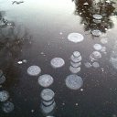 ���� �����, ��������, 64 ���� - ��������� 10 ������� 2016