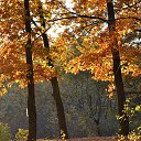 ���� ����, �������, 53 ���� - ��������� 30 ������� 2015 � ������ ���� ����������