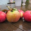 ���� �������, �����, 65 ��� - ��������� 5 ������ 2015 � ������ �������