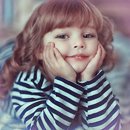 �������, ��������, 51 ���