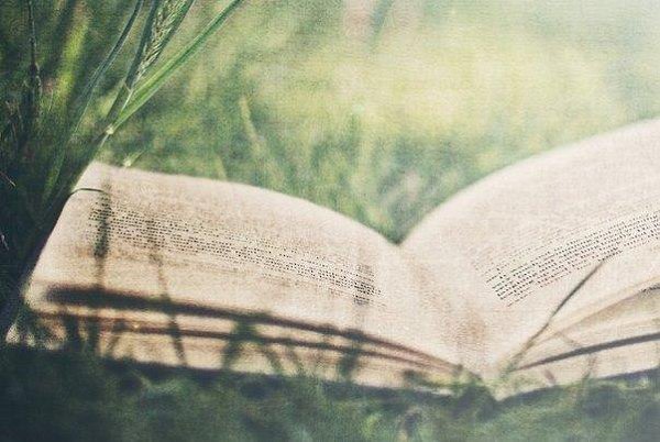 Не унывай и помни — когда будет тяжело, бери книгу и читай. Книги — друзья которые не умирают. Джон ...