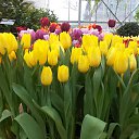 ���� ���������, ��������, 70 ��� - ��������� 5 ����� 2016 � ������ ���� ����������